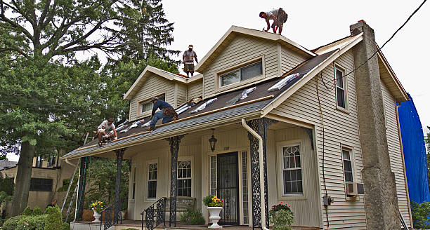 Best Metal Roofing Contractor  in Montpelier, IN